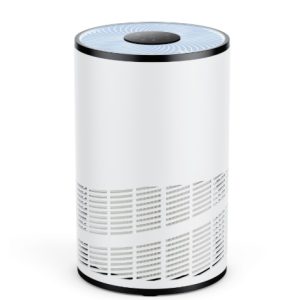 Home Air Purifiers