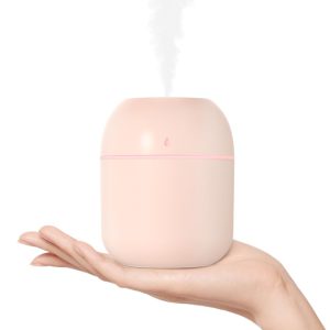 Portable Mini Humidifier 220ml Small Cool Mist Humidifier USB Personal Desktop Humidifier For Bedroom Travel Office Home