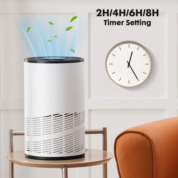 Home Air Purifiers - Image 8